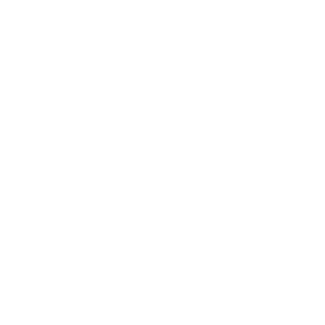 Führerscheinklasse B96: PKW mit Anhänger (leicht)